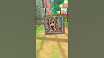 Watch This Monkey Escape His Cage!