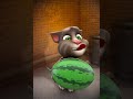 talking tom watermelon