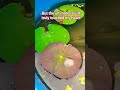 Ab Lotus🪷Khilega🤩✨Khushiya batega🥀❤️💫#flowers #lotus #youtubeshorts #plantslover