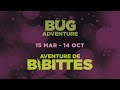 Bug adventure experience the world as bugs do