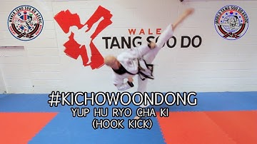 Ki Cho Woon Dong (WTSDA) Hook Kick Tutorial