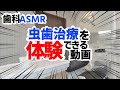 【ASMR】本物の歯医者がロールプレイ【虫歯治療 キーン音あり】