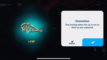 Creatures of the deep - Snowshoe in Alaska