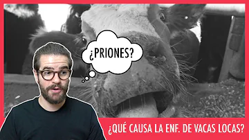 ¿Se puede curar la enfermedad de las vacas locas?