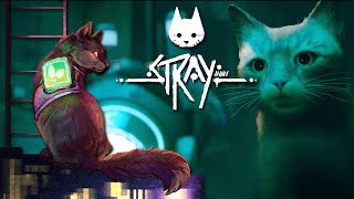 Let&#39;s Hope We Land On Our Feet... 🐈🤖 Stray • #2