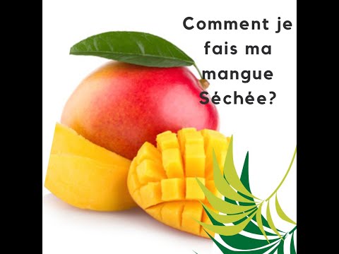 Vidéo: Où puis-je réserver des vols Mango ?