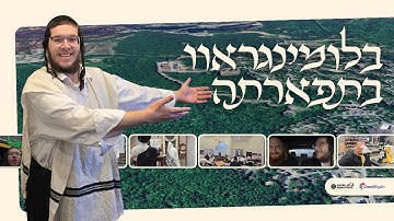 Why Blooming Grove Is Becoming the Heart of Klal Yisroel | Full Community Tour | Yiddish