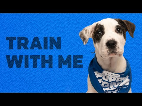 Train with Me | Puppy Bowl Yappy Hours