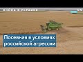 У Украины достаточно запасов сельскохозяйственной продукции