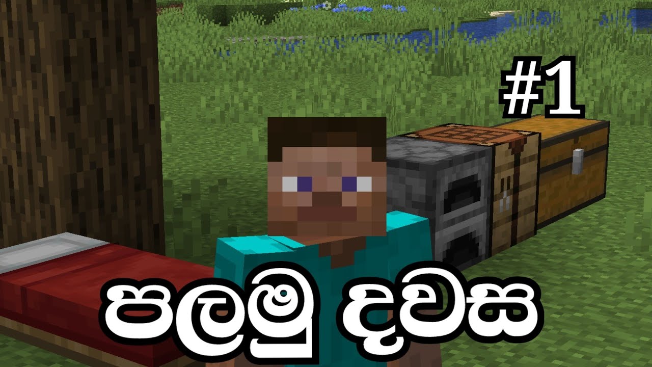 පලමු දවස | Minecraft Survival Guide | Sinhala | #1| SL Tech Gamer ...