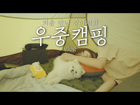 인천 자월도 섬 캠핑/ 처음만난 강아지와 우중캠핑 / 인천 캠핑 /camping in the rain