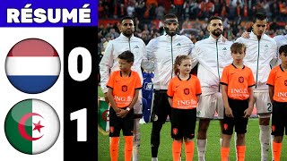 Pays-Bas - Algérie 0-1 Résumé et Buts du Match Amical 2026 | But Anis Hadj Moussa