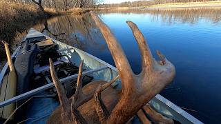 Big Mature Buck on WI Public Land (Adventure in the Canoe)