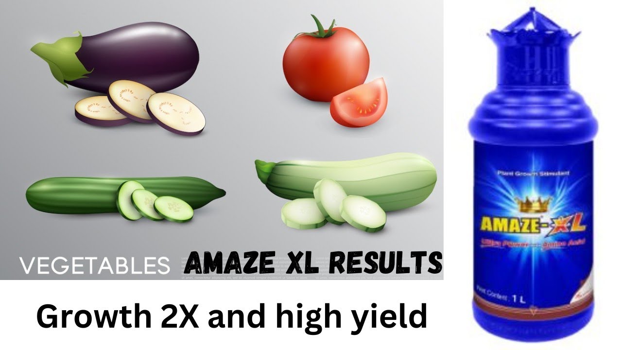 Vegetable Farmer s Review On Amaze XL Plant Growth Stimulant Amazexl vegetable-farmer-s-review-on-amaze-xl-plant-growth-stimulant-amazexl
