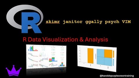 R skimr janitor ggally  psych VIM :  Data Visualization and Analysis