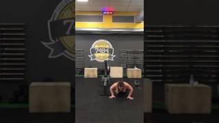 IMG 3491 1