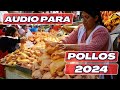 Audio Para Vender POLLO 2024
