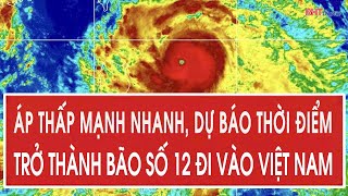 Nóng: Áp thấp mạnh nhanh, dự báo thời điểm thành bão số 12 đi vào Việt Nam