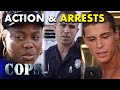  from traffic stop to chicken chaos police action unfolds  cops tv show