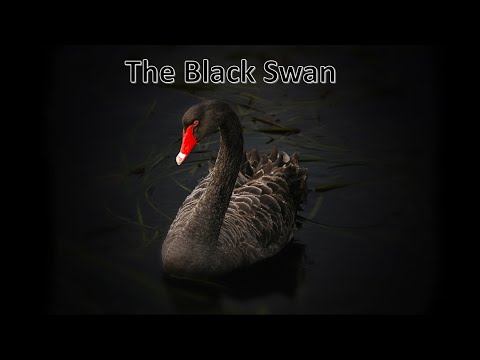 The Black Swan – An observation and its implications for a globe model.