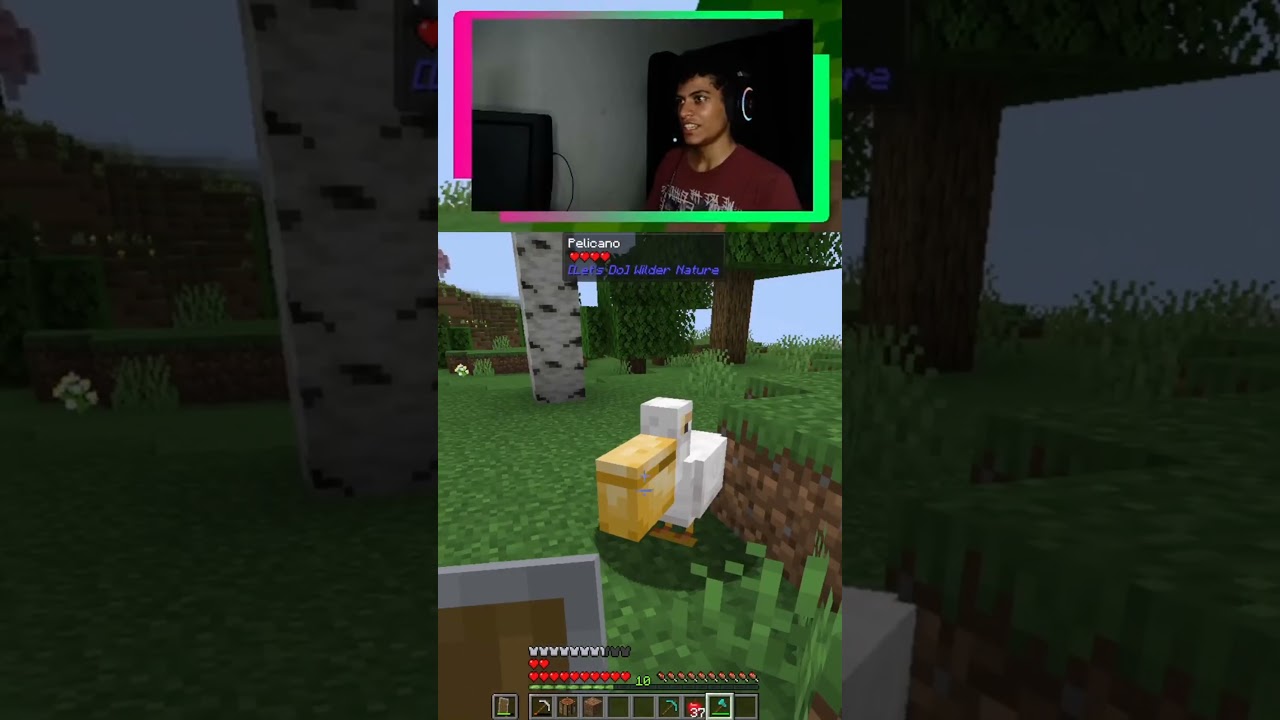 Nicksz tá meio diferente 