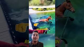 Atlar Yüzebi̇li̇r Mi̇? İşte Kaniti..