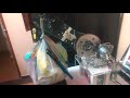 Making my 6 axis Robot