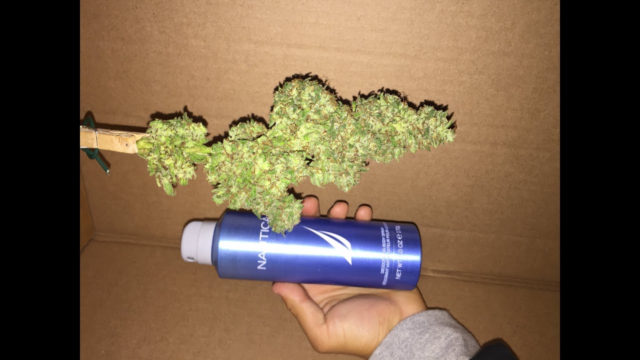 How To Get Dense \U0026 Frosty Buds