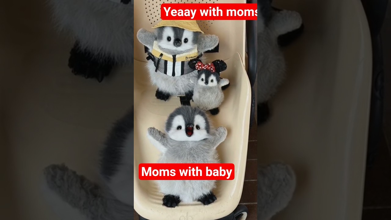 Penguin chick is like this when going out 