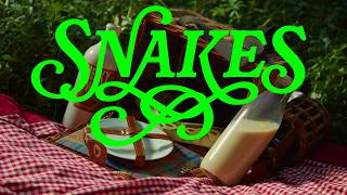 Dessy Mesk - Snakes (Official Video) screenshot 5