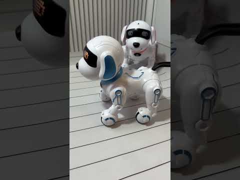 Дитячий робот інтерактивний собака CX-95 сенсорне керування їздить танцює, видео 1