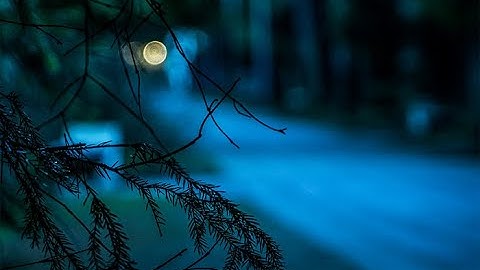 Bài 0️⃣2️⃣ |CHIA SẺ VỀ HIỆN TƯỢNG TRA HỎI MA QUỶ: NHỮNG SỰ THẬT CỦA THIÊN CHÚA & CON NGƯỜI