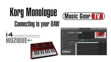 Korg Monologue Connect To DAW
