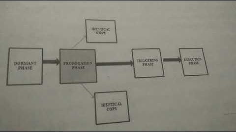 Virus  - Malware Principles of Information Security