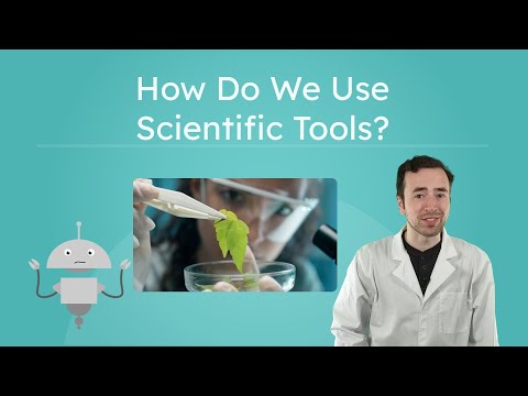 First Scientific What Was The First Scientific Tool