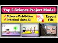 Physics project working model | Physics working model for class 12 | physics Investigatory project