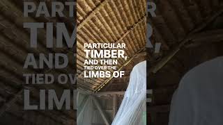 Leaf Hut | Thoughts from the Solomon Islands