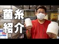 【オススメ】店長が菌糸を紹介してみた！！！！