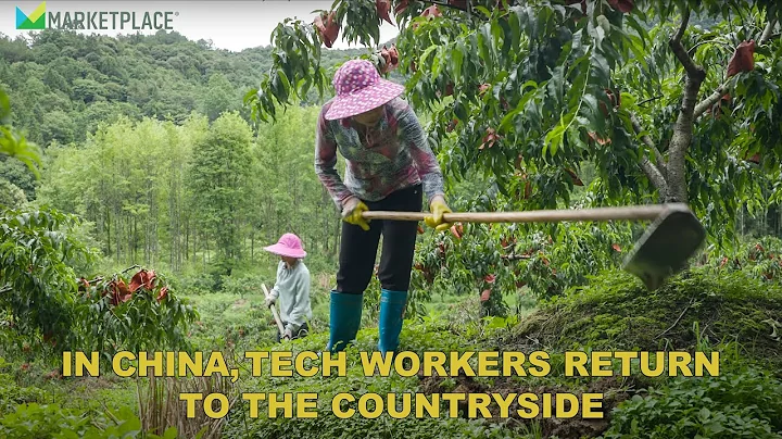 Can China's Countryside Attract Young Workers? - DayDayNews