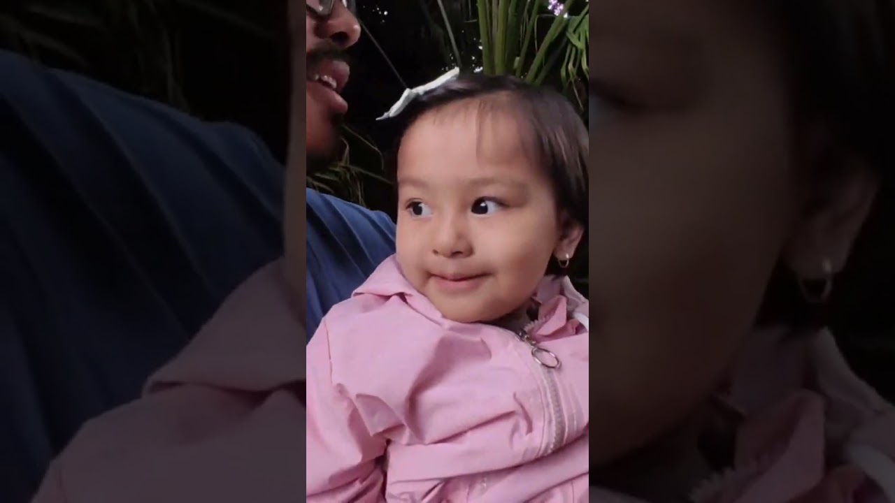 Whoopee Land || Jurassic Safari