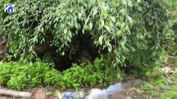 NVT766 Bán gần 9 sào vườn trái cây đang thu hoạch xã Xà Bang, huyện Châu Đức, tỉnh BRVT giá TỐT