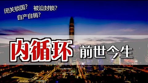 “内循环”前世今生  | What is China's Neixunhuan/Internal Circulation? [Eng Sub] - 天天要闻