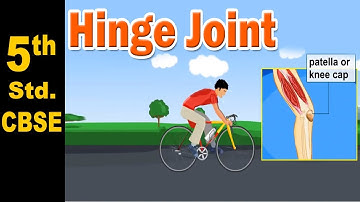 Hinge Joint | 5th Std | Science | CBSE Board | Home Revise