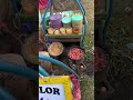 Memasuki Waktu Magrib, kang Kerak telor muncul #keysy #trending #food #viral #nature #keysy