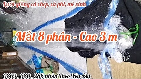lưới giăng cá 3 màn Đánh cá phi cá chép cá mè vinh - luoi danh ca - luoi tha ca - lưới giang ca
