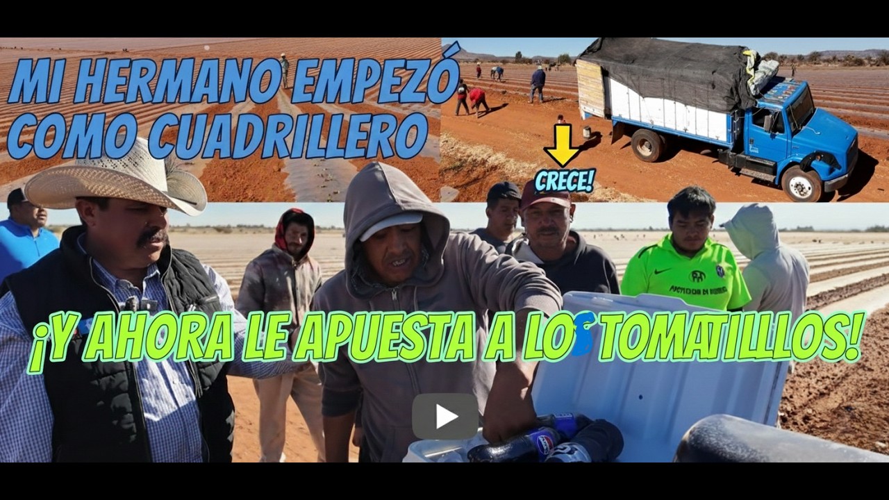 MI HERMANO ENPESO COMO CUADRILLERO Y EL LE APUESTA MAS A LOS TOMATILLOS