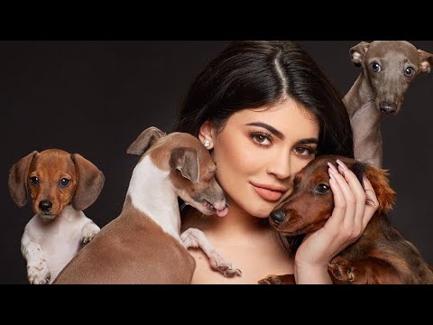 Kylie Jenner Deleted Story | Kylie with her new Dog , Kylie Jenner doing Kourtney’s makeUp