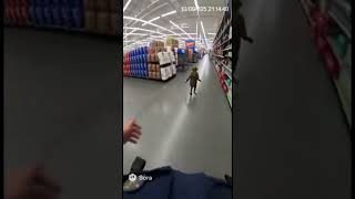 Bro got caught finally😂😂 #funnyshorts #funnyvideo