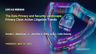 Webinar Replay: Privacy Class Action Litigation Trends