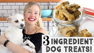 Pumpkin & Peanut Butter Dog Treats - Just 3 Ingredients!